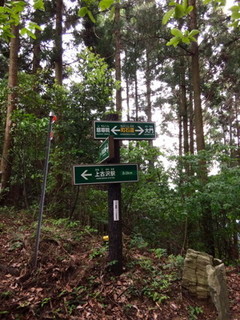 高野山町石道1632.jpg
