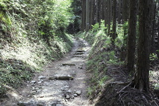 高野山町石道3535.JPG
