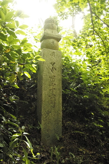 _SDI3486.jpg