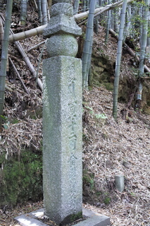 _SDI3493.jpg